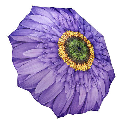 Automatic wind-resistant umbrella, purple daisy design